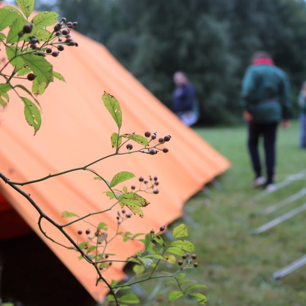 To spejderledere viser en færdselstavle for en gruppe børn